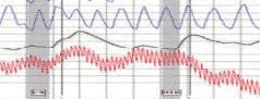 polygraph test in Northern Nevada